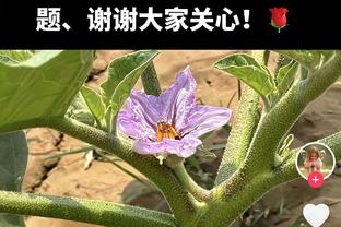 玉面杀手！里夫斯单节13分&末节命中关键三分 全场16中7得20分